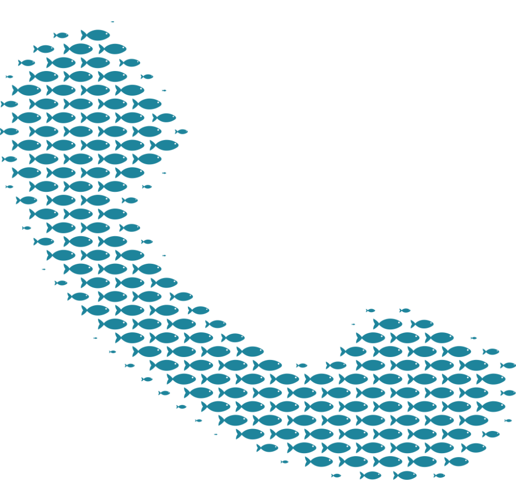 Contact ProFishCare for Fish Welfare in Aquaculture