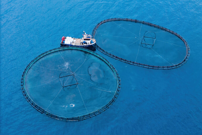 About ProFishCare - Fish Welfare in Aquaculture