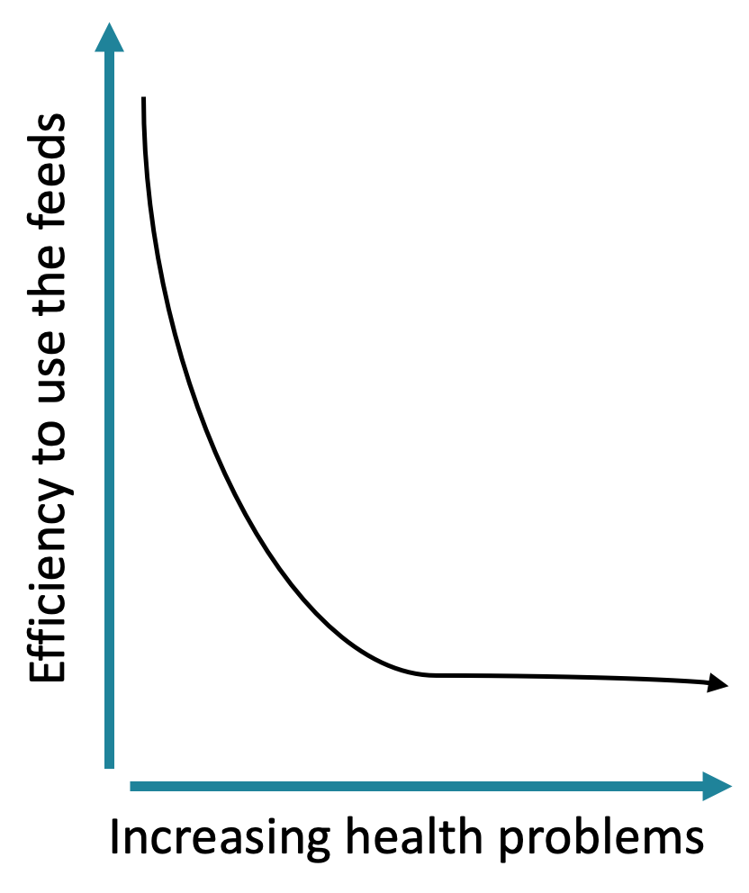 Farmed Fish - Fish Welfare vs. Feed Utilization