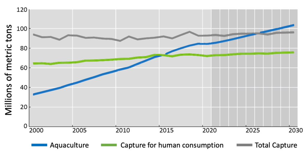 Farmed Fish - Aquaculture global size